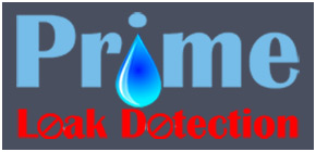 Prime Leak Detection